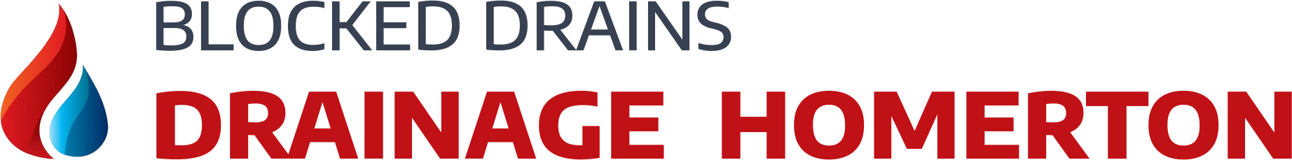 website logo